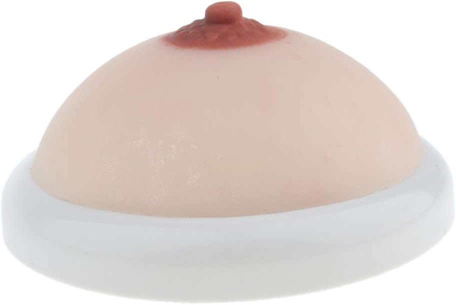 Female Breast Model for Nursing Training Mother Lactogenic Training Lactation Teaching Tools 14.5x6cm
