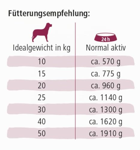 defu Hundefutter | 6 x 820 g | Bio Ente Sensitiv getreidefrei | Premium Bio Nassfutter Menü | Alleinfuttermittel für Hunde