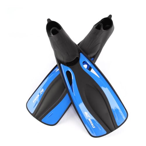 COZENTA OtB _CrO Vm[P q y (u[ ML)