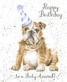 Birthday Artist Greeting Card (WRE2142) Fur, Feathers and Whiskers - To A Party Animal - Bulldog Party Hat