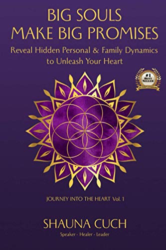 Big Souls Make Big Promises: Reveal Hidden Personal & Family Dynamics to Unleash Your Purpose