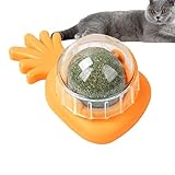 Boule Murale À L' À Chat – Nettoyage Des Dents Molaires | Cat Nips Jouets Pour Chats Biologiques | Jouet Comestible À Lécher Pour Chat | Jouet À Mâcher Pour Chat | Jouet De Morsure De Chat Nettoy