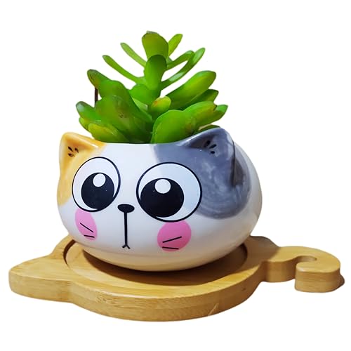 Cuteforyou Süße Katze, Keramik-Sukkulenten-Übertopf mit Bambus-Tablett (Grau, Gelb)