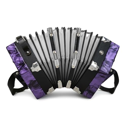 Concertinas 20-Key Accordion for Adults & Beginners, Professional Hexagonal Accordion with Adjustable Hand Straps, Air-Tight Windbox & Complete Accessories (Purple)
