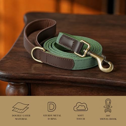 Image of Didog PU Leather Dog Leash for Small Dogs, 5ft Soft Padded Handle, Green
