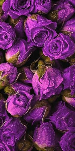 Peinture diamant rose violette 5D DIY broderie diamant kit complet 80x160cm