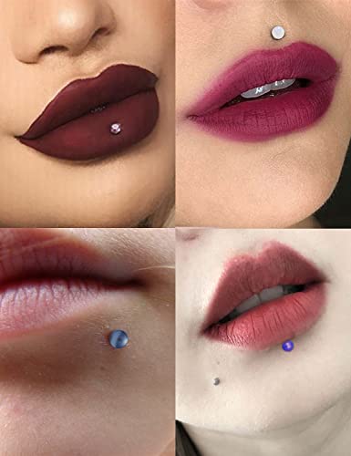 Vsnnsns 48PCS 16G Lip Rings Stainless Steel Tragus Helix Conch Piercing Jewelry Snake Bite Piercing Monroe Lip Rings Labret Medusa Cartilage Lobe Earrings Studs Piercing Jewelry 6MM 8MM 10MM Silver3