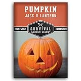 Jack O’ Lantern Pumpkin Seeds for Planting | Heirloom Carving Pumpkins for...