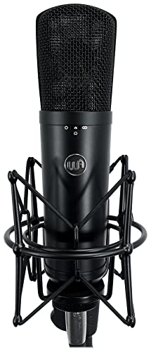 WARM AUDIO WA-87 R2 Black の商品画像 1