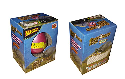 Universal Affect - LOT of 2, Magic Growing Chelonian Turtle Egg, Hatch and Grow Egg