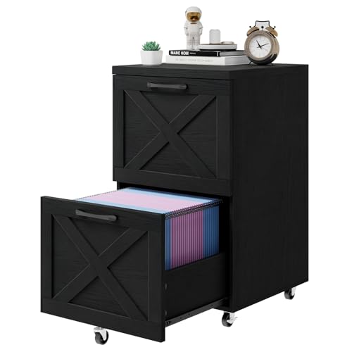 Farmhouse File Cabinet with 2 Drawers, Vertical Filing Cabinet on Wheels for Letter/A4 Size Hanging...