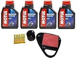  MGM KIT TAGLIANDO HONDA VT 600 SHADOW OLIO MOTUL Ölfilter Luftfilter Zündkerzen 1988/97