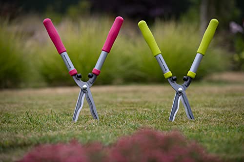 Cisailles à main Spear & Jackson 55509G pour taille du jardin
