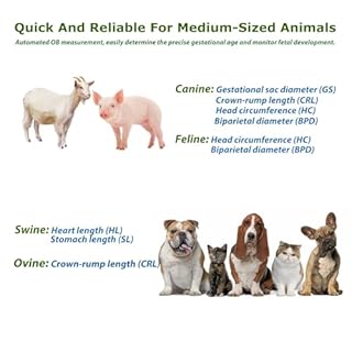 Dawei Vet Ultrasound Machine Portable Veterinary Handheld Scanner B-Ultra Sound with 3.5MHz Probe for Pregnancy Pig,Sheep,Dog,cat use