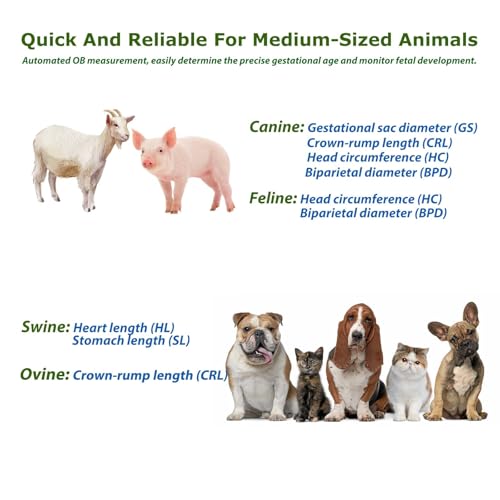 Dawei Vet Ultrasound Machine Portable Veterinary Handheld Scanner B-Ultra Sound With 3.5Mhz Probe For Pregnancy Pig,Sheep,Dog,Cat Use thumb #3