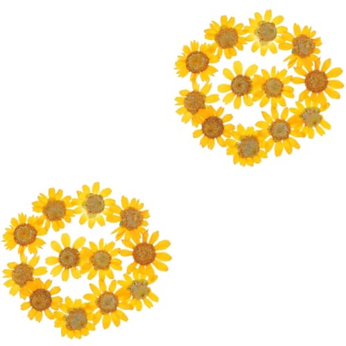 TEHAUX 2 sets flores secas para manualidades 48 pcs miniatura 1