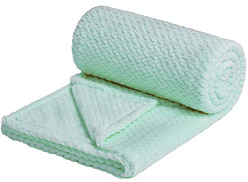 NEWCOSPLAY Super Soft Throw Blanket Premium Silky Flannel Fleece Leaves Pattern Lightweight Blanket All Season Use (888-mint, Twin(60