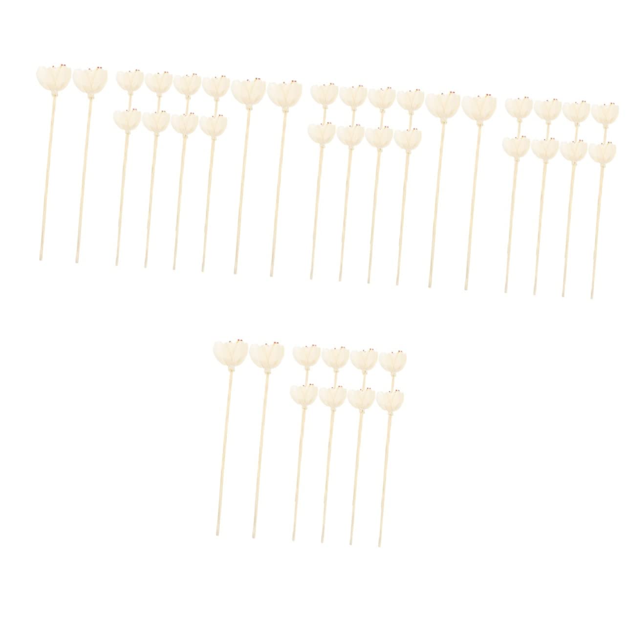 Didiseaon 40pcs Natural Fragrance Diffuser Sticks Flower Sticks for Home Decor for Diffusers Indoor Atmosphere Elegant Design