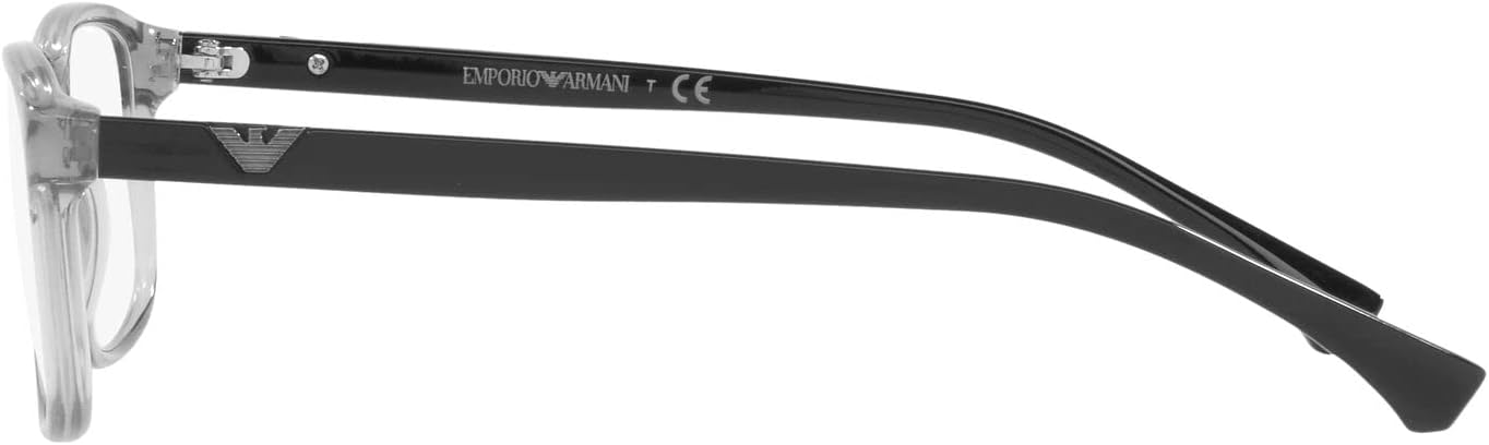 Emporio Armani mens Ea3098 Rectangular Sunglasses