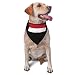 Yemen Flag Triangle Dog Bandana Scarf Accessories for Pet Bibs