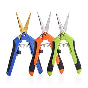 Jucoan 3 Pack Garden Pruning Shears, Hand Pruners with Titanium Coated Straight Stainless Steel Blades Comfortable Handles (Orange, Blue, Green)