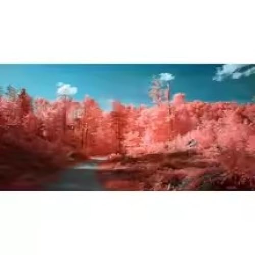 Impression sur toile de paysage bleu corail rouge XINBAO poster foret 60x120 cm