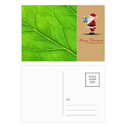 Cartes de remerciement Père Noël pour sublimer vos messages de fêtes