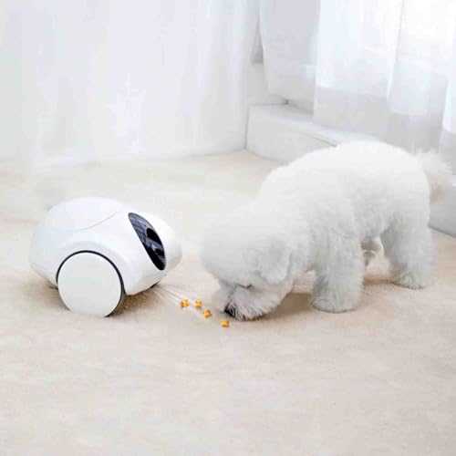 Cámara interactiva para mascotas con dispensador de golosinas, controlada por aplicación, 1080p, HD, inclinación, para perros, dispensación automática, control remoto, juego con gatos y perros a