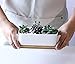 LANKER 6.5 Inch Rectangle White Ceramic Succulent Planter Pot Decorative Cactus Plant Pot Flower Container with Bamboo Tray (Rectangle 6.5 Inch)
