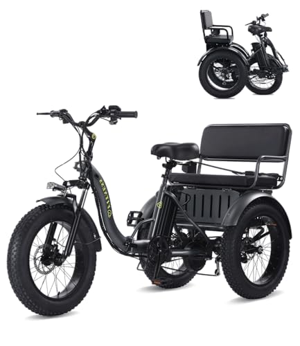 NOMIGO Two Seater Electric Tricycle