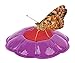 Insect Lore Butterfly Garden: Original Habitat and Live Cup of Caterpillars with STEM Butterfly Journal – Life Science & STEM Education – Butterfly Kit