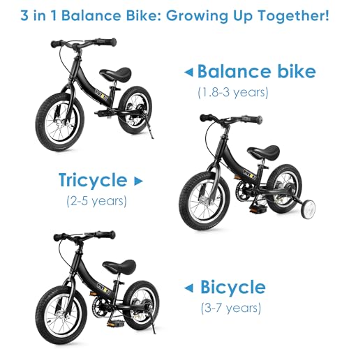 BIKEBOY Balance Bike 2 in 1,The Dual Use of a Kids Balance Bike and Toddler Bike, for 1 2 3 4 5 6 7 Years Old -12 14 16 Inches with Training Theory, Brake, Pedal