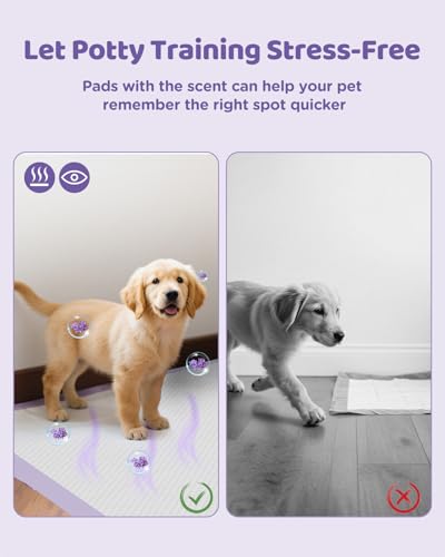 Image of iweepet 36 inchx36 inch 4XL Lavender Scented Disposable Dog Pee Pads, 45 Count | Extra Large Puppy Training Pads with 6-Layer Super Absorbent Protection, Leakproof Puppy Pads for Large Dogs & Senior Pets
