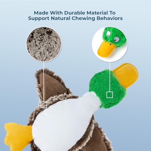 Best Pet Supplies Interaktives Mallard Mates Hundespielzeug mit knisternder und quietschender Bereicherung für kleine und mittelgroße Rassen, Welpen oder Hunde, niedlich und plüschig, Stockente