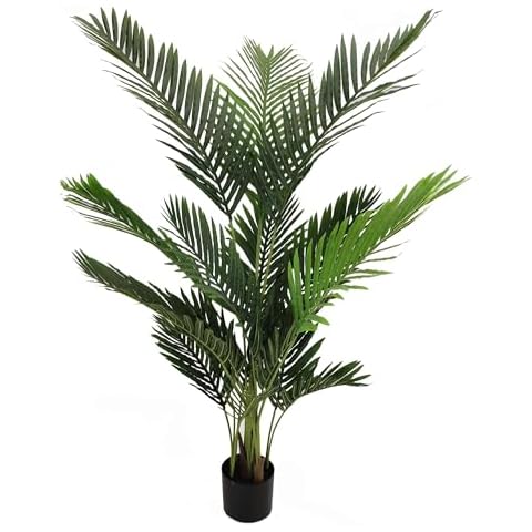 Fast Sleep Areca Palm Tree Cover
