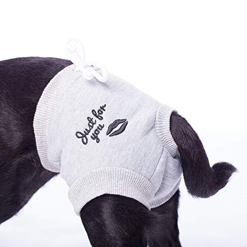 02/2021 Hunde Unterhose • Alle Top Modelle am Markt im Vergleich