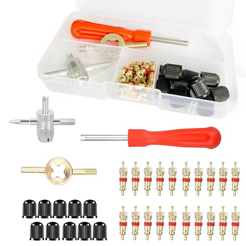 43pcs Valve Pneu OutilKit Outil De Tire Repair Voiture Valve De Pneu