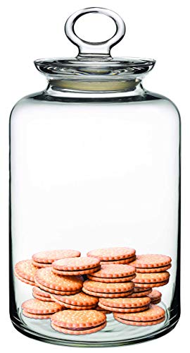 Barattolo in vetro trasparente con coperchio ermetico, classico, per utensili da cucina, cibo, biscotti, spezie, per casa, bar, hotel, ristorante, Large - 2500cc