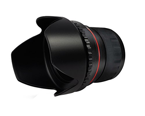 Super téléobjectif Canon XF400 3,5x idéal pour filmer la nature en voyage