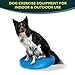 FitPAWS® Dog Balance Disc – 22”, Blue | Dog Exercise Equipment | Workout Tool for Strength, Core, Stability & Rehabilitation