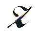 Quattroerre 20076 Aufkleber Monogramm Buchstabe Z, Schwarz, Z-Olografica