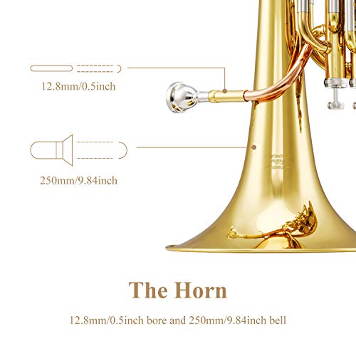 Eastar Marching Bb Baritone Horn Intermediate Gold Lacquer B Flat with Tuner Hard Case Baritone Mouthpiece Gloves Valve Oil Baritone Cleaning Kit, EBT-400