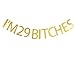 I'm 29 bitches banner for 29th birthday party decor