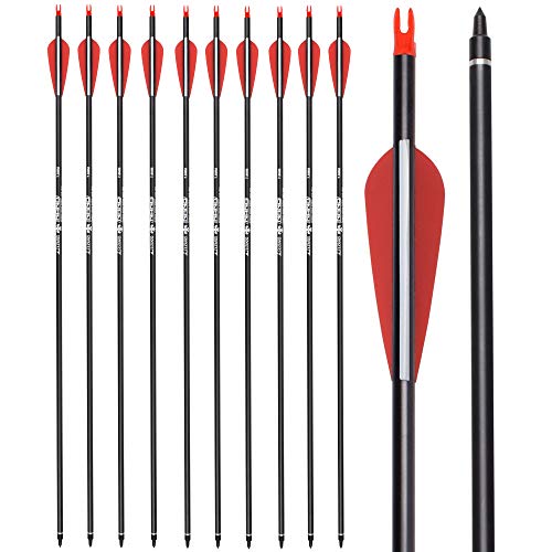 Ylsio Archery Carbon Arrow Hunting Target Practice Arrows 28 Inch With Removable Tips For Compound & Recurve Bow Spine 500 12Pcs #TOP2