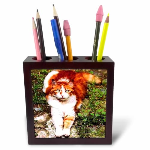 3dRose Orange Cat 5 inch tile pen holder
