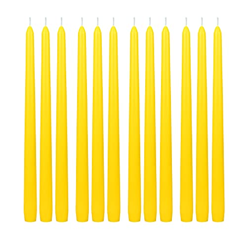 Zest Candle Inch, Yellow 12-Piece Taper Candles, 12", 12 Count #TOP1