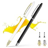 Stylus Pens for Touch Screens Ipad, LezGo Dics & Fiber Mesh Tips 2 Ends Universal Stylus Pencil for iPad, iPhone, Android, Tablet -- Black, White, Silver & Golden Clip, 2 Pack