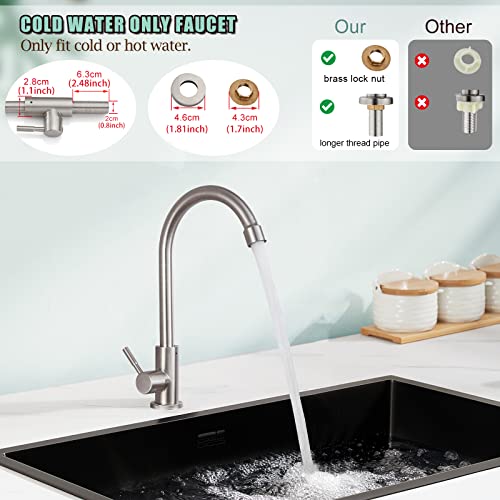 https://m.media-amazon.com/images/I/41cVCJqHAuL._SL500_.jpg