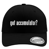 got Accumulator? - Flexfit Adult Men's Baseball Cap Hat, Black, Small/Medium