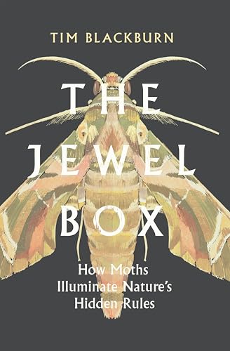 The Jewel Box: How Moths Illuminate Nature's Hidden Rules